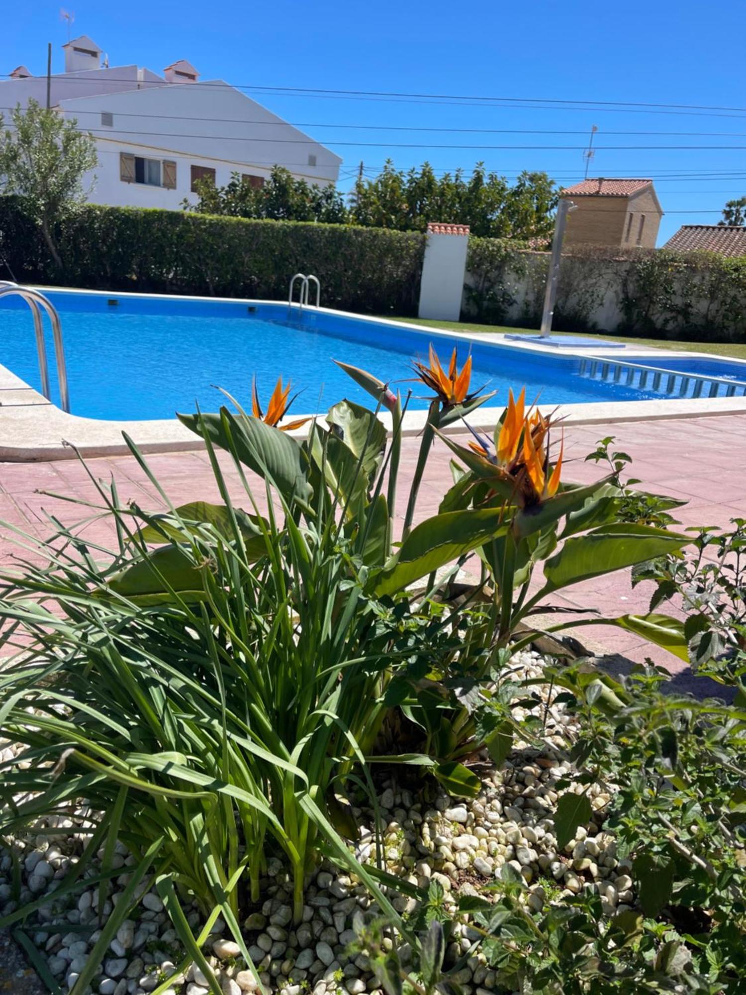 Cala Puntal Διαμέρισμα Vinarós Εξωτερικό φωτογραφία