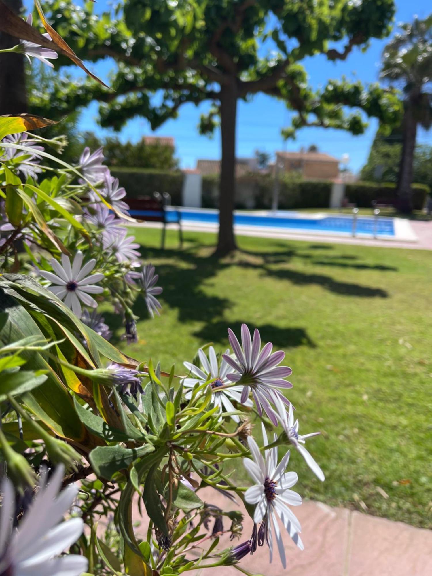 Cala Puntal Διαμέρισμα Vinarós Εξωτερικό φωτογραφία