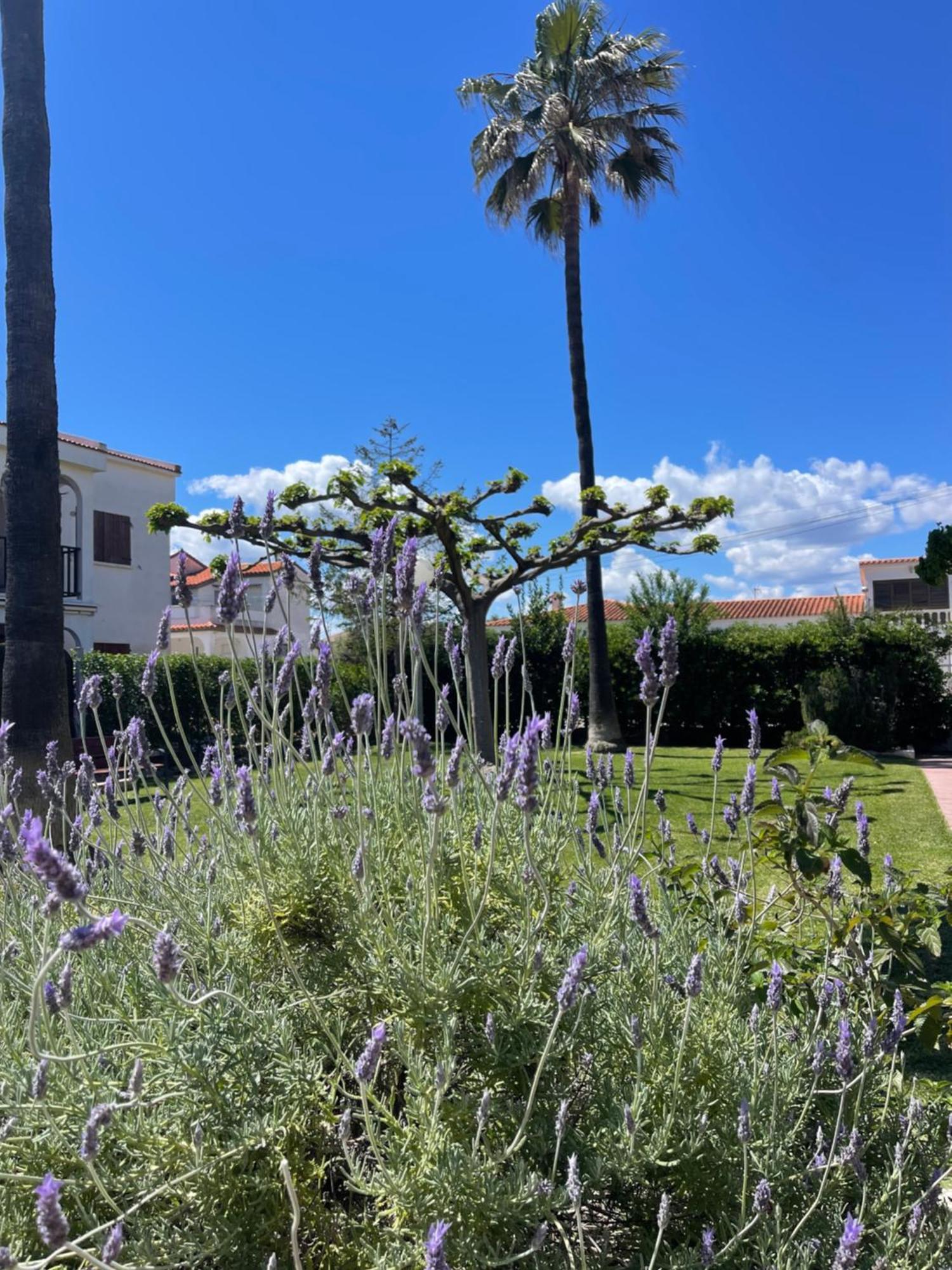 Cala Puntal Διαμέρισμα Vinarós Εξωτερικό φωτογραφία